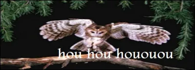 Tous les noms en "-ule" sont de genre masculin.