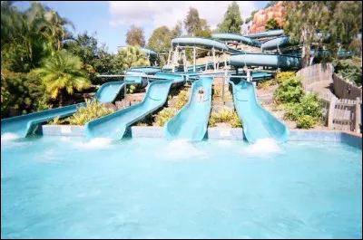 Tu vas au parc aquatique avec tes potes,que fais-tu ?