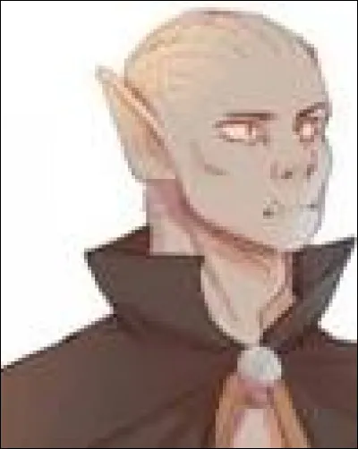 Comment s'appelle le garde du corps de Sophie ?