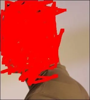 Qui est ce catcheur ?