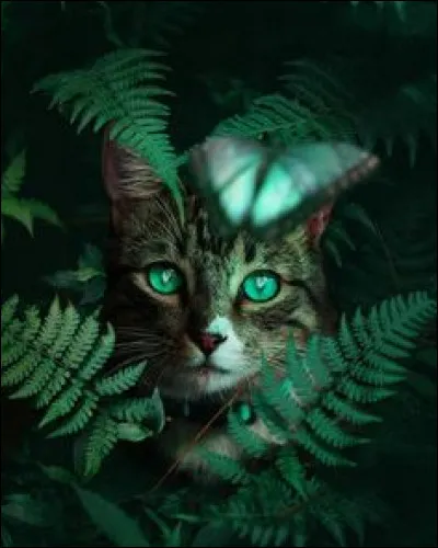 La cloche sonne. Vous vous levez et dites joyeusement à votre nouveau professeur : 
- J'en parlerai à mon ... !