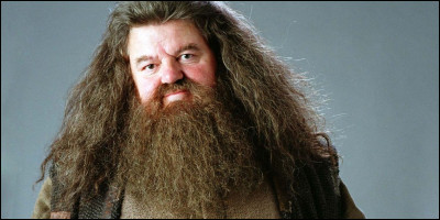 Avec quoi arrive Hagrid au début du film en transportant Harry avec lui ?