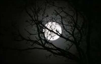 En anglais, la Lune se dit "Moon".