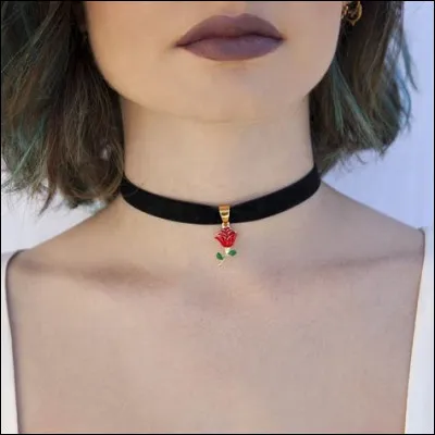 Comment nomme-t-on ces colliers ras-de-cou ?