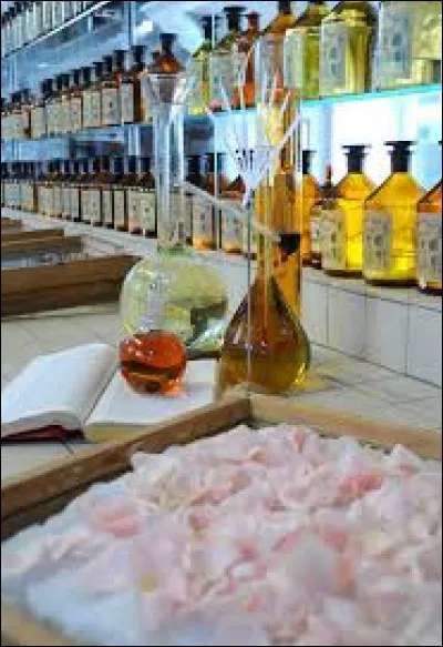 Il existe combien d'animaux d'où on peut extraire une essence pour produire un parfum ?