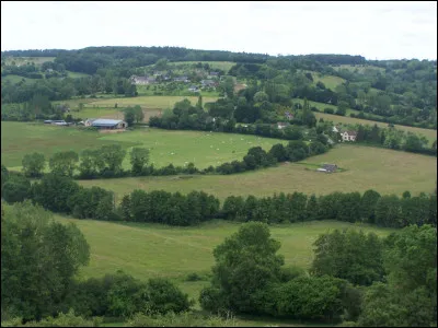 C'est une région de bocage et d'élevage, traversée par la Touques et la Dives, dont sont originaires trois fromages normands - Camembert, Livarot et Pont-l'Evêque :