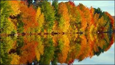 On reste dans le thème ! Comment dit-on "automne" en anglais ?