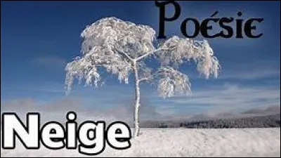 Maintenant qu'on a fini les quatre saisons passons aux caractéristiques de ces dernières. Comment dit-on "chute de neige" ?