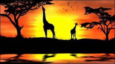 Un facile car on est bientôt à la fin : comment dit-on "coucher de soleil" ?