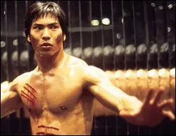 Vous me reconnaissez ? Je suis Bruce Lee.