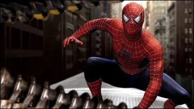 Dans le film "Spider-Man", qui est la partenaire de Tobey Maguire ?