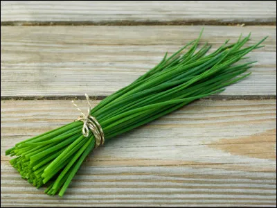 Qu'apercevons-nous ici ?