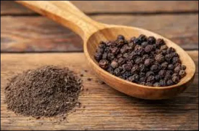 Ville française connue pour ses mines de poivres, je m'appelle :