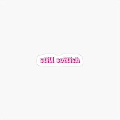 Qui a sorti la chanson "Still Softish" ?