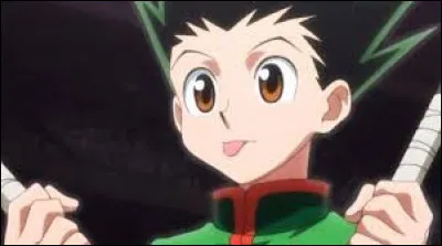 Pendant l'examen Hunter quel est le numéro du badge de Gon ?