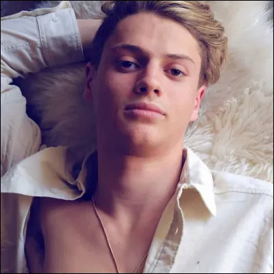 Dans ''Henry Danger'', qui jouent avec Jace Norman ? (indice : Charlotte, Jasper et Piper)