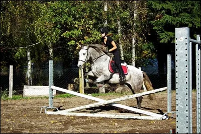 Comment s'appelle cet obstacle ?