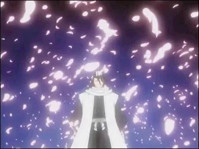 Et comment s'appelle son bankai ?