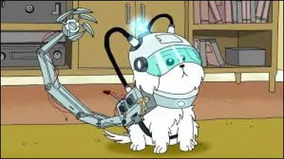 Quel est le nouveau prénom de Croquette, le chien de Morty ?