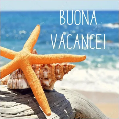 Que fais-tu pendant les vacances ?