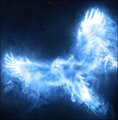 Quel est ton patronus ?