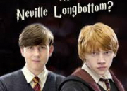 Test Qui es-tu entre Ron et Neville ?
