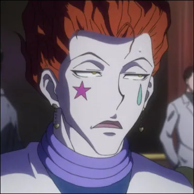Hisoka est un...