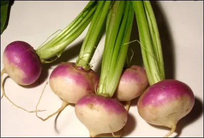 Comment s'appellent ces légumes ?
