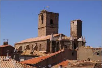 Ville de 11 000 habitants du département de l'Aude, située au pied du massif des Corbières et traversée par l'Orbieu affluent de l'Aude :