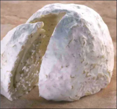 Quel est ce fromage &agrave; base de lait de vache cru et de gape (petit lait) fabriqu&eacute; dans le Puy-de-D&ocirc;me. Il a une forme de d&ocirc;me ?