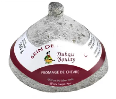 Quel est ce fromage de ch&egrave;vre au lait cru en forme de sein (t&eacute;ton compris) ?