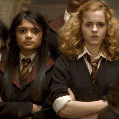 Au début de leur première année à Poudlard, Harry et Ron n'étaient pas amis avec Hermione.