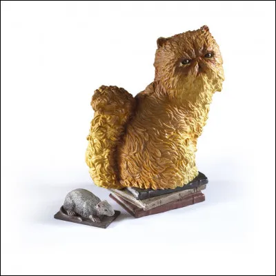 Le chat d'Hermione s'appelle Pattenbond.