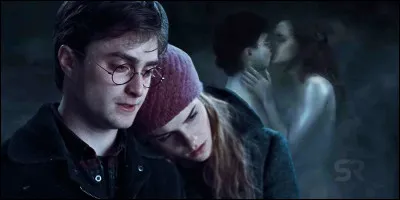 Harry se marie avec Hermione.