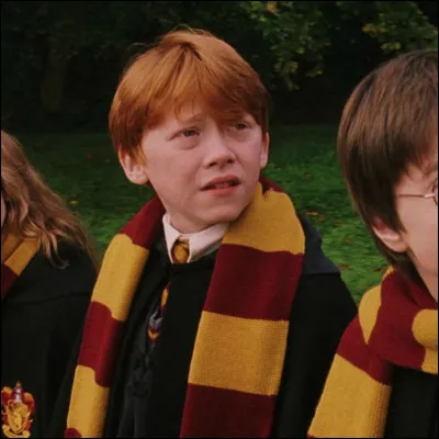 Croûtard est en fait Peter Petigrow.