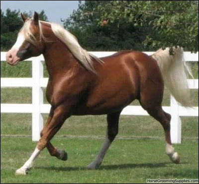 Quelle est cette robe ?