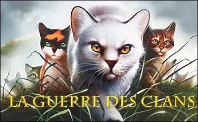 Quel clan choisirais-tu ?