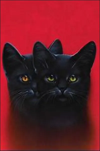 Apprenti(e), tu voulais...