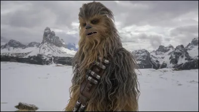Top 11 - Chewbacca : de quel vaisseau est-il le copilote ?