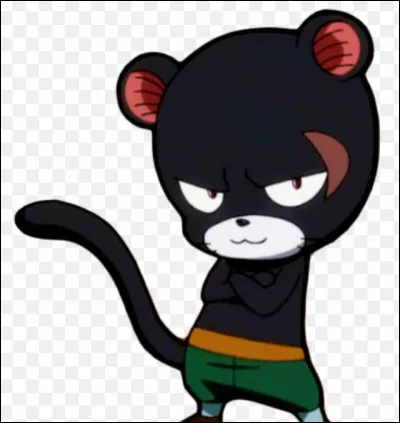 Quel est le nom de cet adorable chat ?