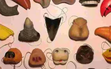 Quiz Anatomie