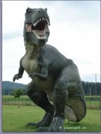 Quel est cet animal ?