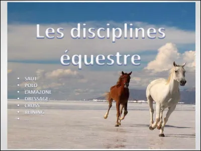 Quelle discipline est faite pour toi ?