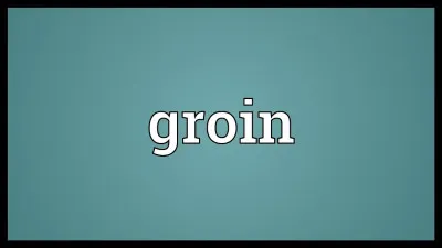 L'un de ces quatre animaux possède un groin !