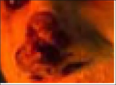 Dans quel film peut-on voir le nez d'Andy Powers ainsi ?