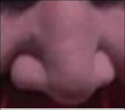 Dans quel film peut-on voir le nez de Mark Holton ainsi ?