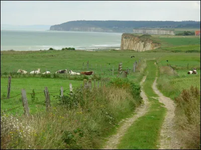 Cette r&eacute;gion, caract&eacute;ris&eacute;e par ses clos-masure entour&eacute;s de haies, est un plateau calcaire qui s'&eacute;tend au nord de la Seine et se termine au nord et &agrave; l'ouest par des falaises dominant la Manche ; c'est le ...