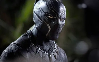 Qui est l'acteur de Black Panther ?
