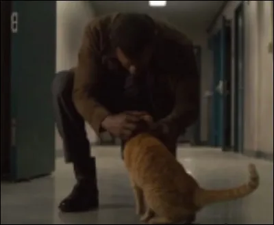 Je ne suis pas très détendu. Qui suis-je ?