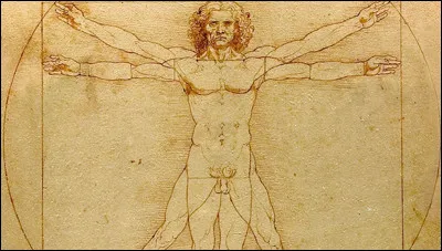 Tu te décrirais plus comme...